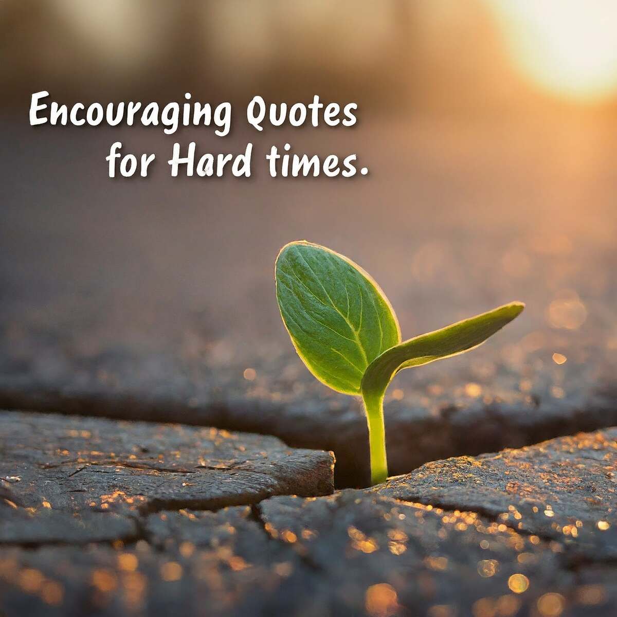 Encouraging Quotes for Hard Times