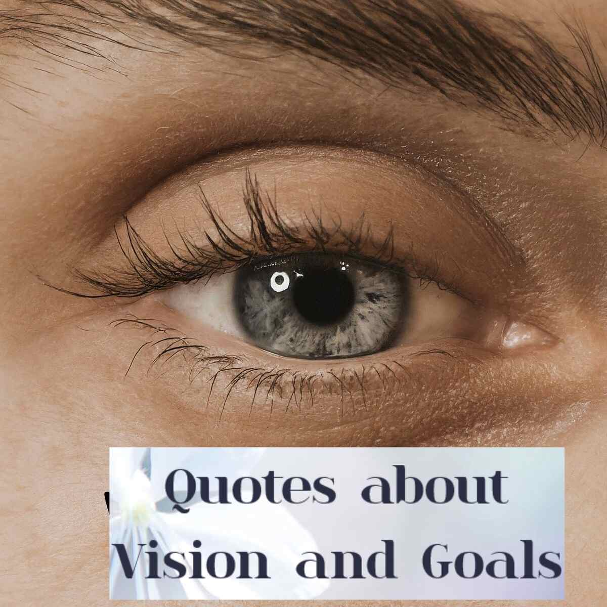 Quotes about Vision and Goals