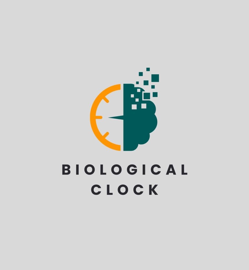 Biological Clock